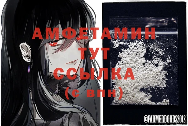 бошки Вяземский