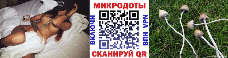 Псилоцибиновые грибы Cubensis  где купить наркоту  Звенигород 